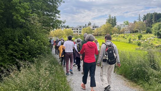 IMG_3277.jpeg IMG_3277.jpeg