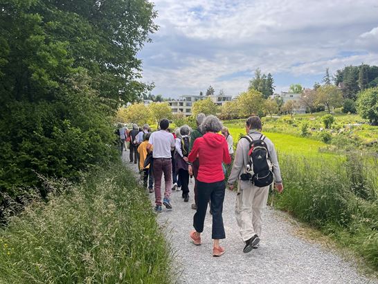 IMG_3277.jpeg IMG_3277.jpeg