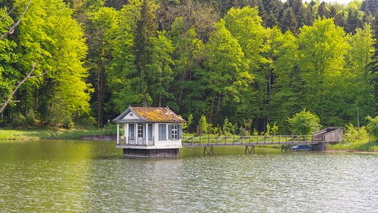 _DSC2011.jpg _DSC2011.jpg