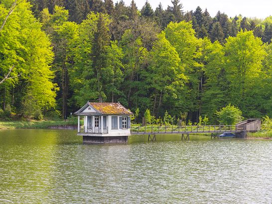 _DSC2011.jpg _DSC2011.jpg