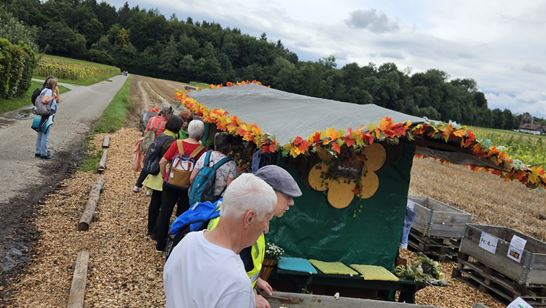 IMG-20250901-WA0009.jpg IMG-20250901-WA0009.jpg