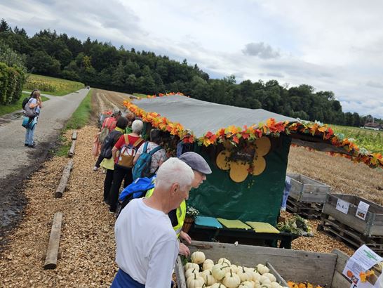 IMG-20250901-WA0009.jpg IMG-20250901-WA0009.jpg