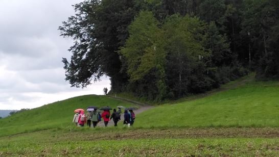 25-04-17, IMG_1725, im Regen bei Illnau.jpeg 25-04-17, IMG_1725, im Regen bei Illnau.jpeg