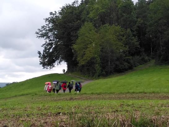 25-04-17, IMG_1725, im Regen bei Illnau.jpeg 25-04-17, IMG_1725, im Regen bei Illnau.jpeg