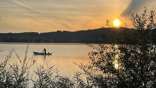 IMG_5199_1.jpg IMG_5199_1.jpg