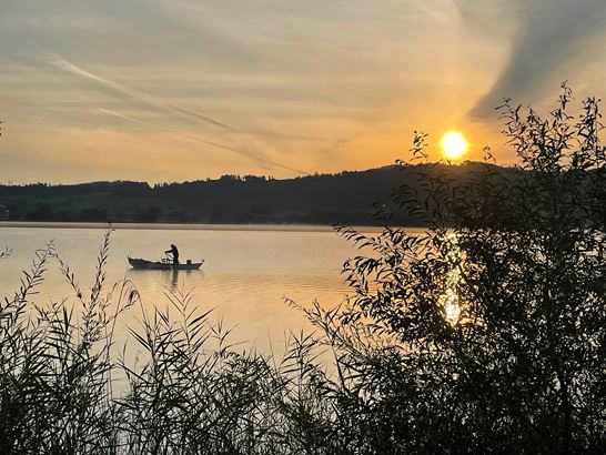 IMG_5199_1.jpg IMG_5199_1.jpg