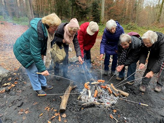 img_4628.jpeg img_4628.jpeg