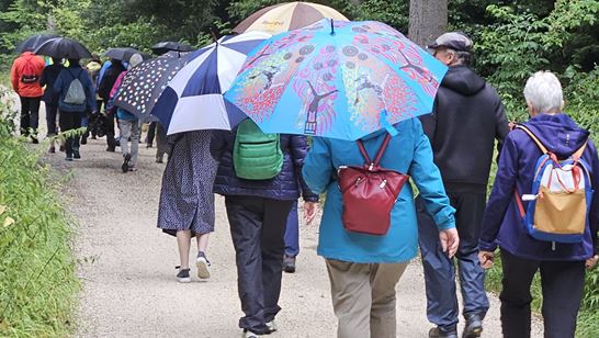 IMG-20250707-WA0006.jpg IMG-20250707-WA0006.jpg