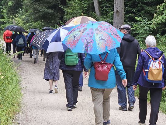 IMG-20250707-WA0006.jpg IMG-20250707-WA0006.jpg