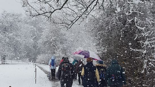 Foto 2 für GoI Dez. 24.jpeg Foto 2 für GoI Dez. 24.jpeg