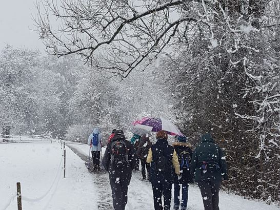 Foto 2 für GoI Dez. 24.jpeg Foto 2 für GoI Dez. 24.jpeg